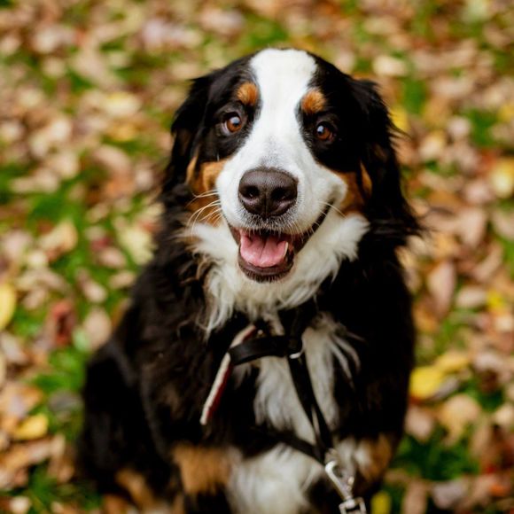 Meet your Posher, Catherine - Picture 1 of 1